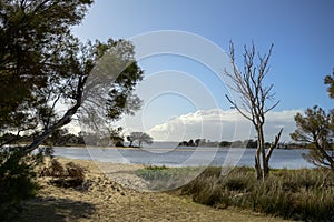 The Collie River and Leschenault Estuary