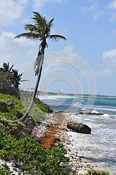 Colliers Public Beach in the East End district of Grand Cayman, Cayman Islands