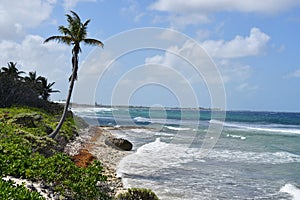 Colliers Public Beach in the East End district of Grand Cayman, Cayman Islands