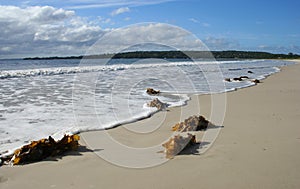 Collingwood Beach, Australia