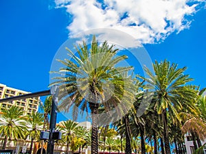 Collins Avenue on Miami Beach, Florida, USA