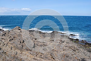 collioure, Colliure, small french village with a fortress in a sunny day of summer.