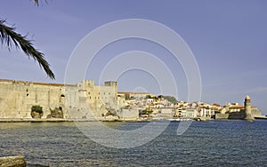 Collioure Panorama