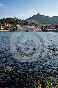 Collioure view from the other side of the bay with Fort of Saint Elme on the top of the village