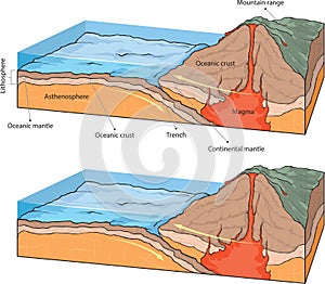 Collision - oceanic vs continental plates photo