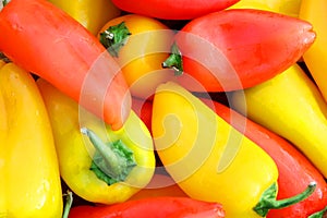 Colllection of Fresh, Sweet Red and Yellow Peppers Background