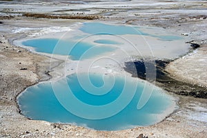 Colloidal Pool at Norris Geyser Basin at Yellowstone National Park Wyoming USA