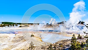 Colloidal Pool and other Geysers in the Porcelain Basin of Norris Geyser Basin area in Yellowstone National Park in WY USA