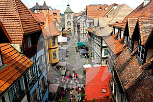 Colmar Tropicale