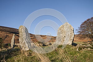 Colmeallie Stones in Glen Esk.