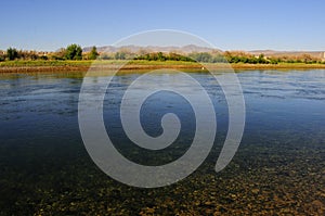 Coloado river from ground level