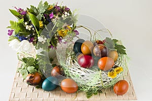 Easter eggs and spring flowers on white background
