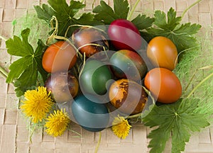 Easter eggs and spring flowers on wooden background