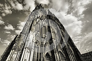 Cologne