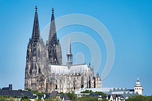 cologne cathedral in the old town on a sunny day