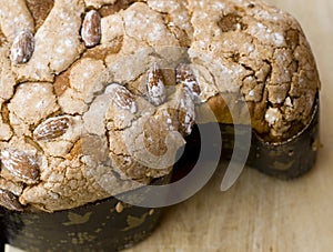 Colomba