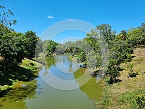 Colombia, Doradal, pond with tropical vegetation