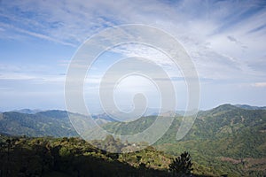 Colombia - rainforest in the Sierra Nevada de Santa Marta