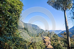 Colombia's Lost City photo