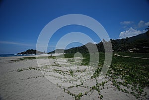 Colombian beach