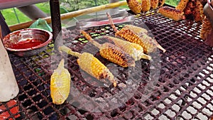 Colombian Grilled Corn, Street Food in Bogota Colombia. One of the most authentic and tasty food in the streets.