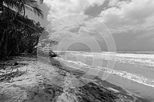 Colombian Guajira beach landscape, black and white photography