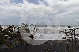 Colombian palomino beach seascape with blacksand, bushes