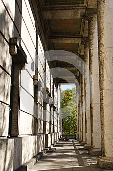 Colonade. Walking alley in the English Park in Munich