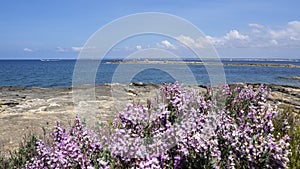 Colonia Sant Jordi, Ses Salines, Mallorca, Spain. Amazing landscape of the Marques beach and the seaside