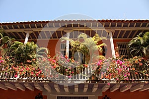 Colonial house. Balcony with flowers and plants