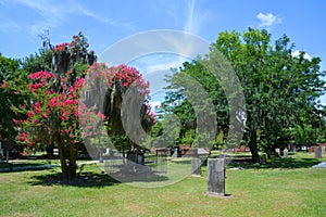 Colonial Park Cemetery