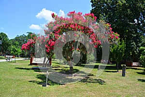 Colonial Park Cemetery