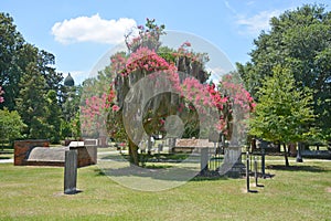 Colonial Park Cemetery