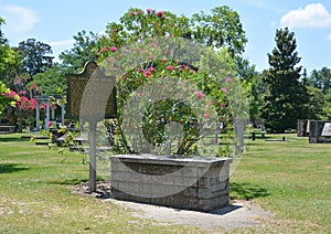 Colonial Park Cemetery