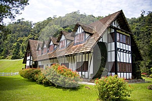 Colonial Tudor Style Mansion