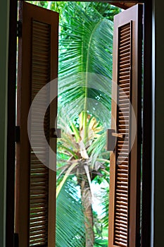 Colonial window shutters