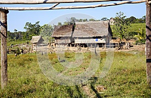 Colonist farm in Amazon