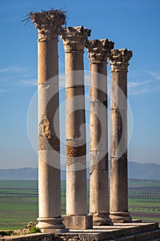 Colonnade of the Capitoline Temple, Volubilis