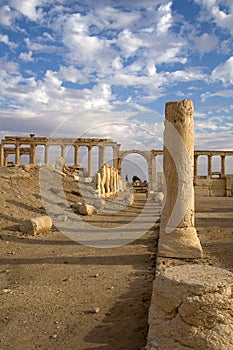The colonnade of Palmyra Syria