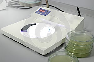 Colony counter and fluid in petri dish glassware with growing cultures of microorganisms, fungi and microbes ware plate tower,