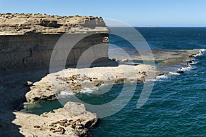 A colony of sea lions on the rocks at the Valdes Peninsula, in Argentina