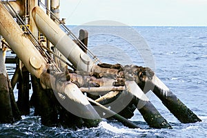 Colony of seals make home on the support struts of offshore platform