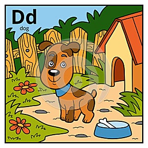 Color alphabet for children, letter D dog