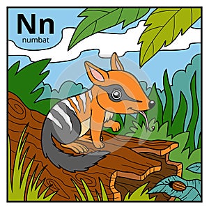 Color alphabet for children, letter N numbat