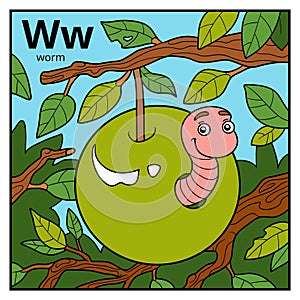 Color alphabet for children, letter W worm