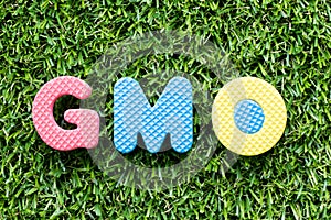 Color alphabet letter in word GMO abbreviation of Genetically Modified Organisms on green grass background