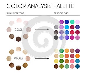 Color Analysis Palette by Cool and Warm Skin Undertones and the Best Colors to Wear Chart