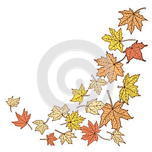 Color autumn leaves template