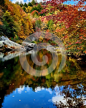 Color autumn reflections Emory River nature art
