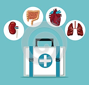 Color background with first aid box with icons circular frame intern organs human body